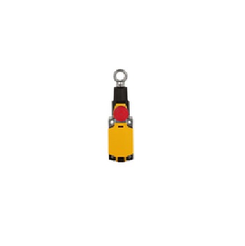 PSEN rsm 1.0-300-0-0-0