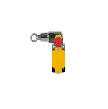 PSEN rsm 1.0-300-0-2-0