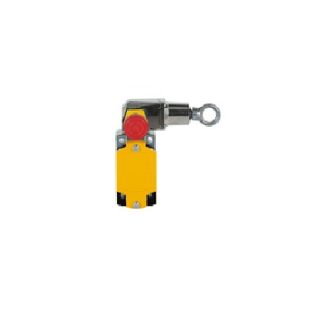 PSEN rsm 1.0-300-0-1-0