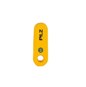 PSEN cs4.1 Key gy3